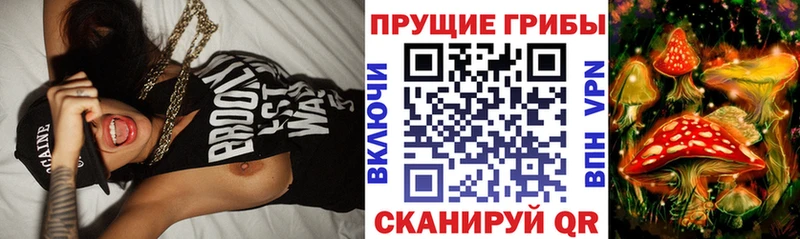 Псилоцибиновые грибы мицелий  Остров 